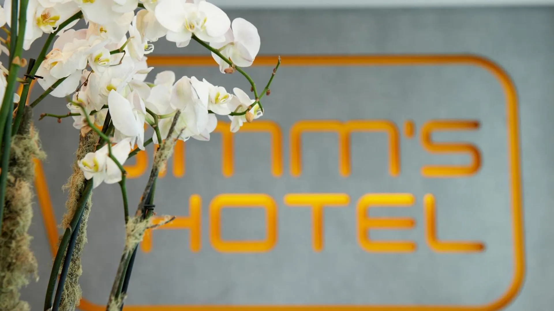 Simm'S Hotel - Cityhotel Next To Metro U3 Viyana 4*,